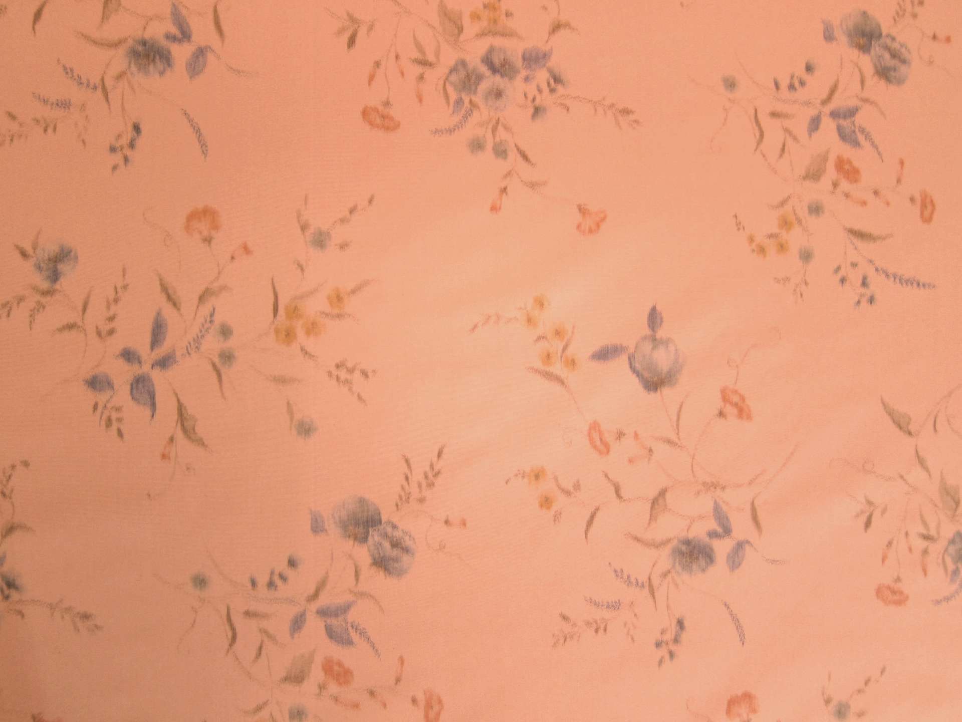 Silk Warp Taffeta0