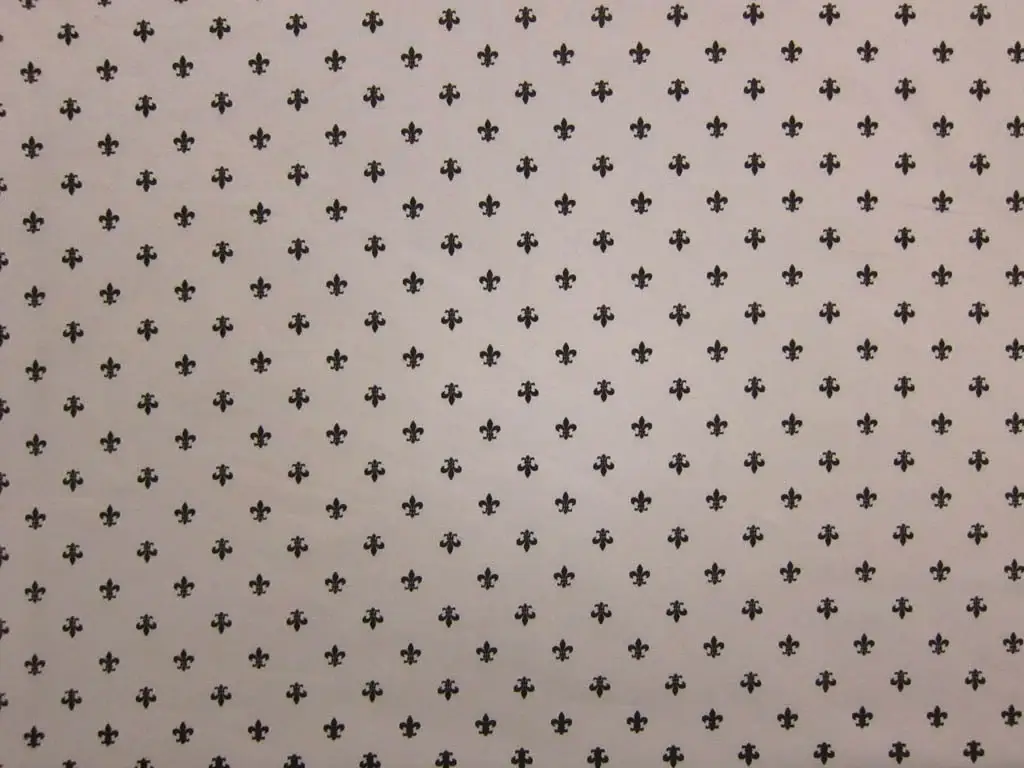 Cotton Lawn Print0