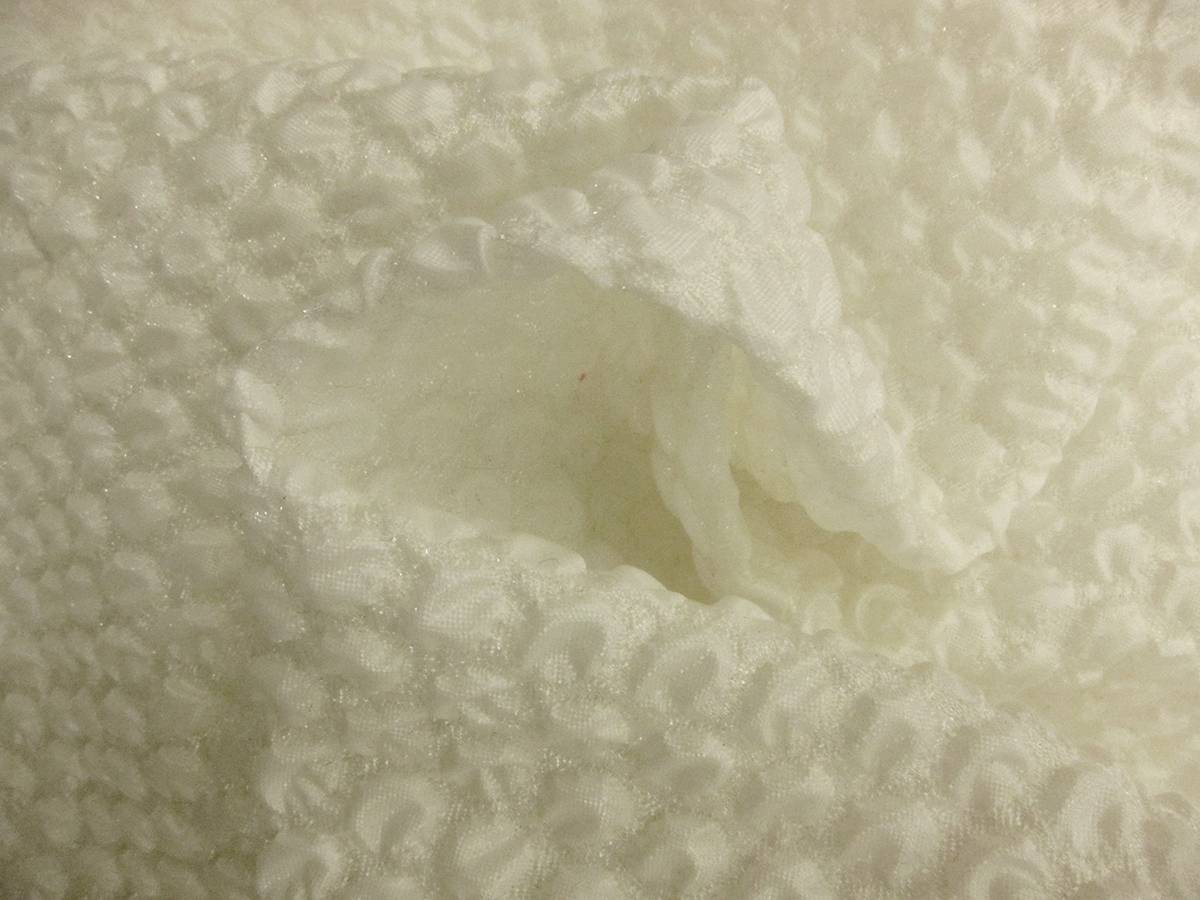 Silk Blend Organza Cloqué1