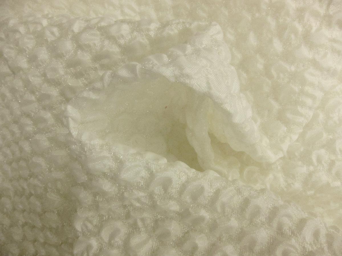 Silk Blend Organza Cloqué1