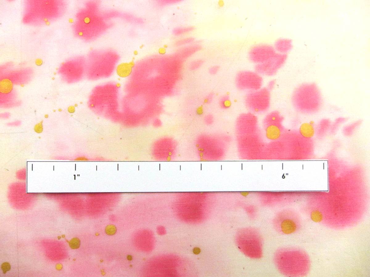 Hand Painted Silk Chiffon2