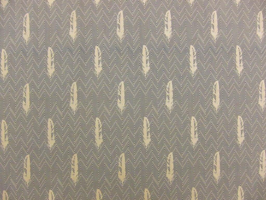 Cotton Broadcloth Print0