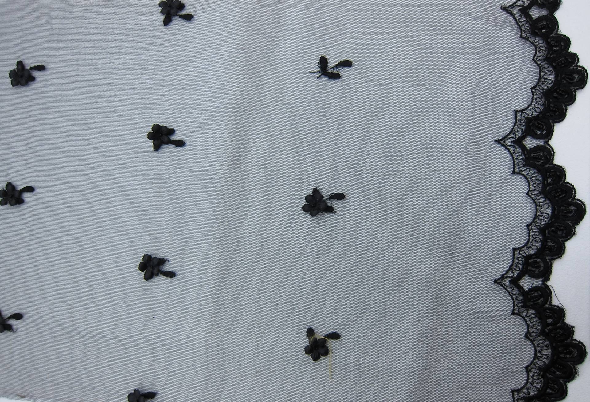 Embroidered Illusion with Appliqué and Beads2