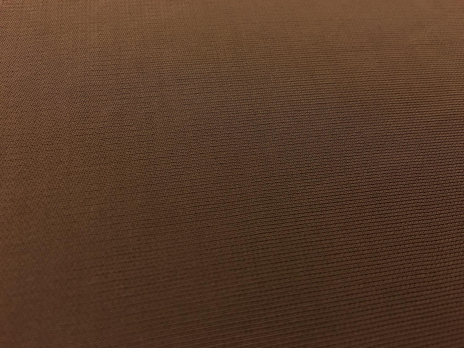 Rayon Matte Jersey in Toffee 0