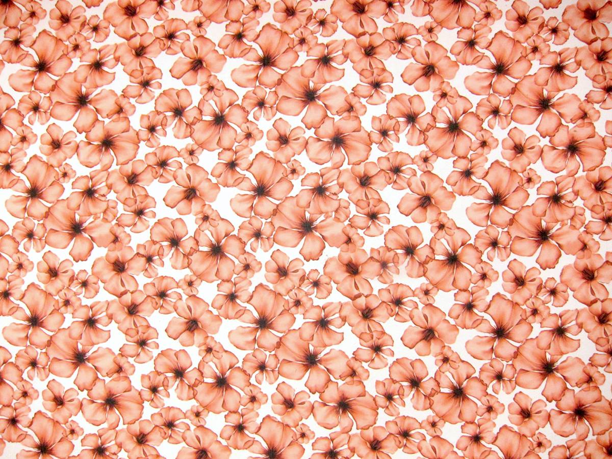 Printed Silk Chiffon0