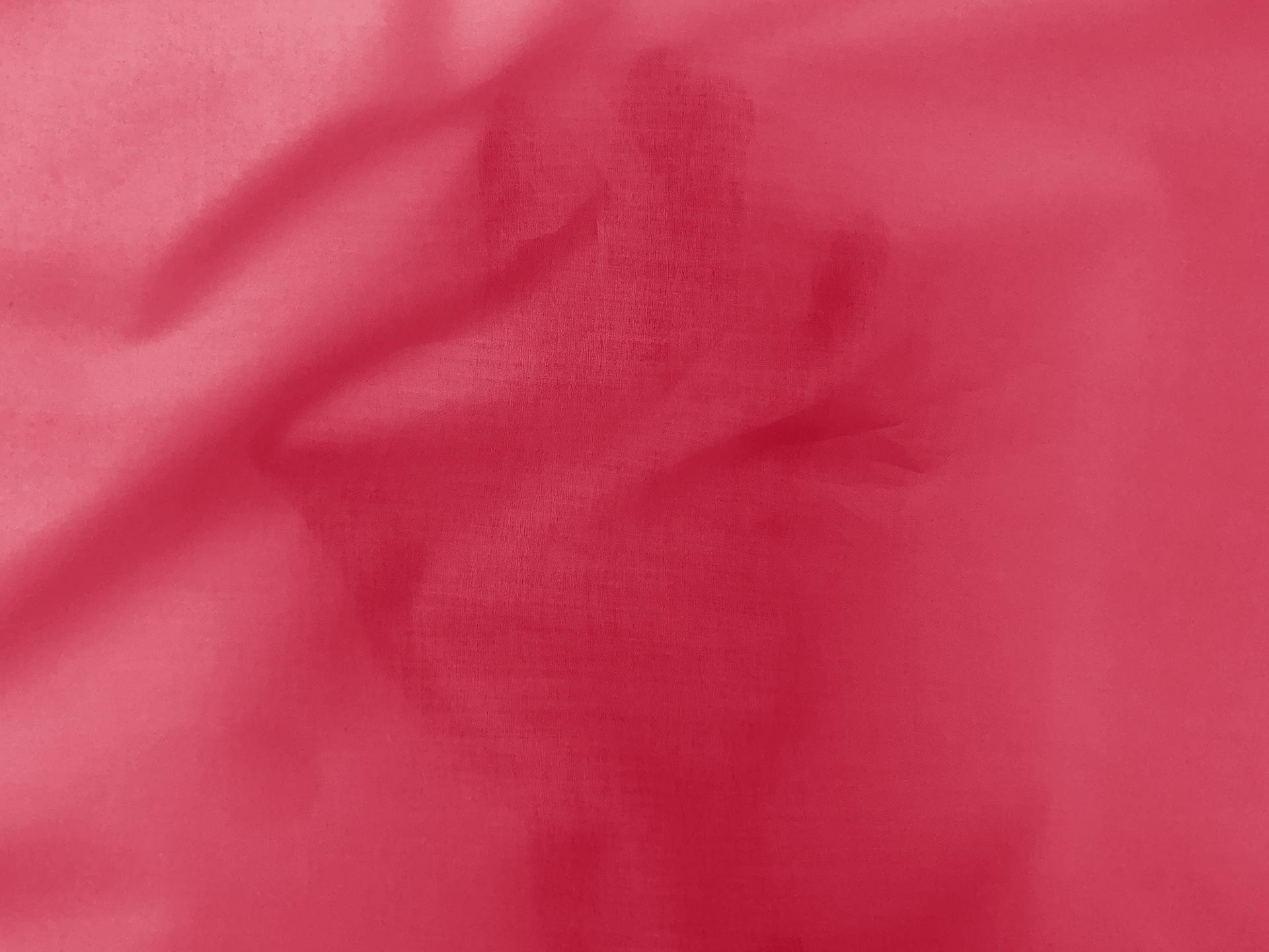 Cotton Lawn in Peony2