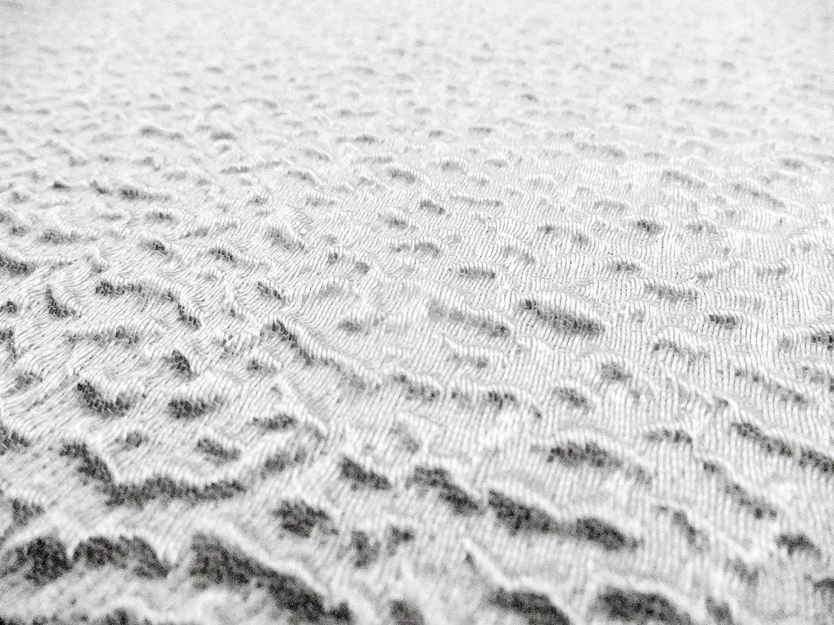 Silk Blend Organza Cloqué0