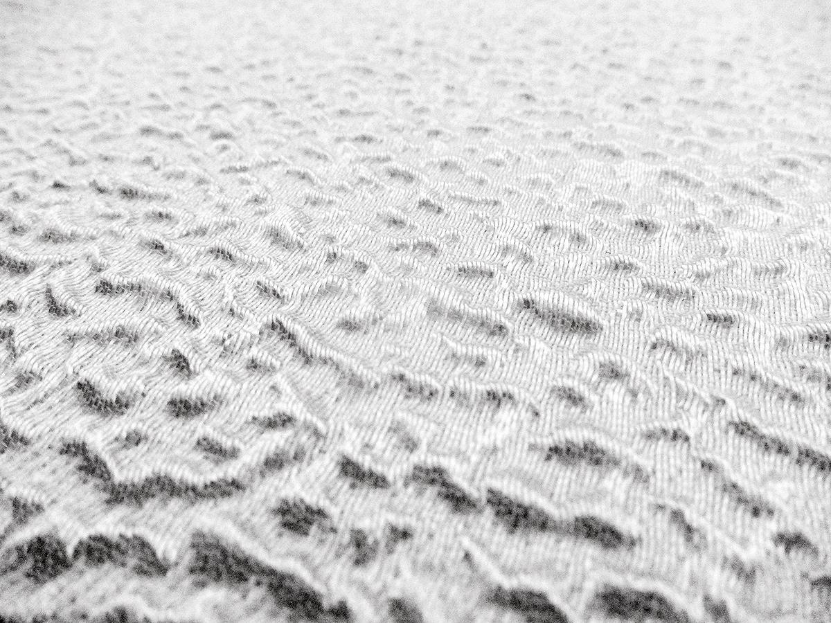 Silk Blend Organza Cloqué0