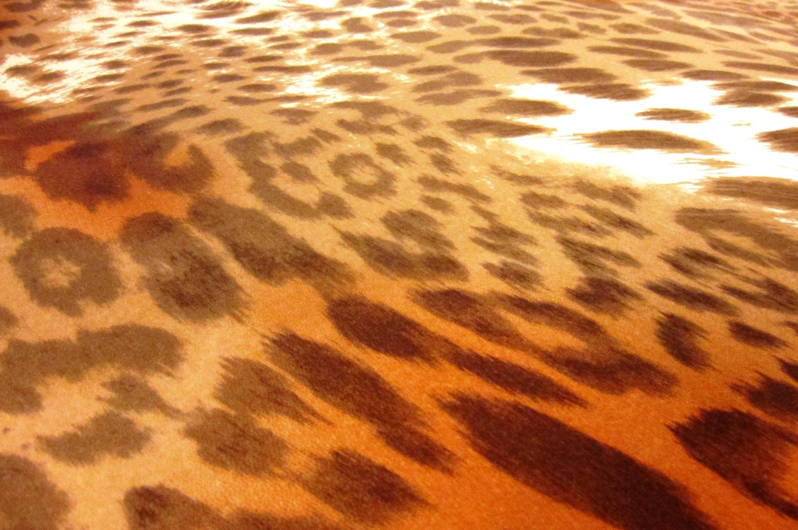 Printed Silk Charmeuse2