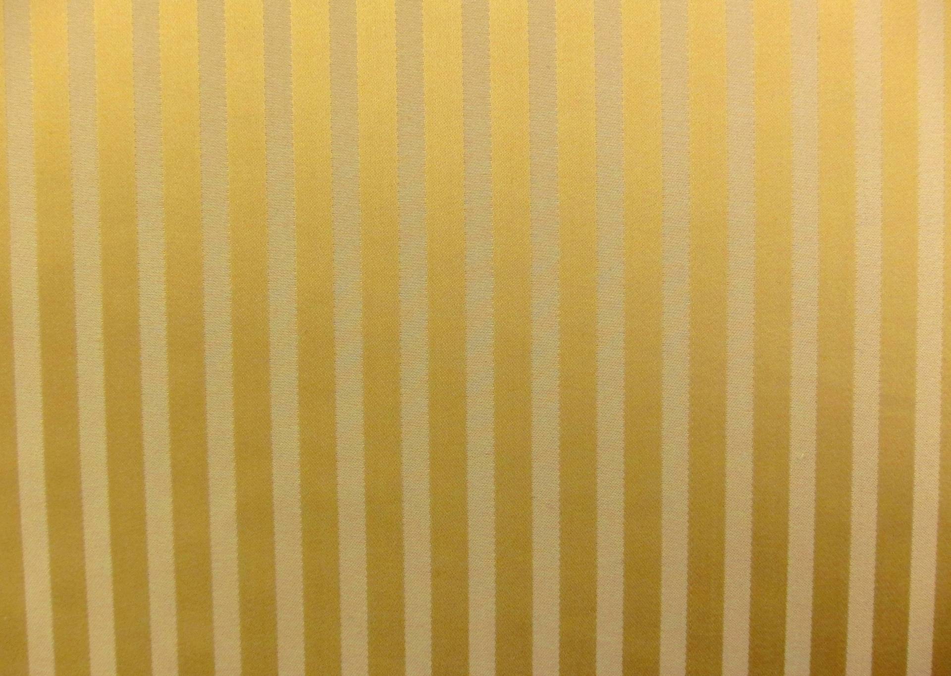 Silk Stripe Brocade0
