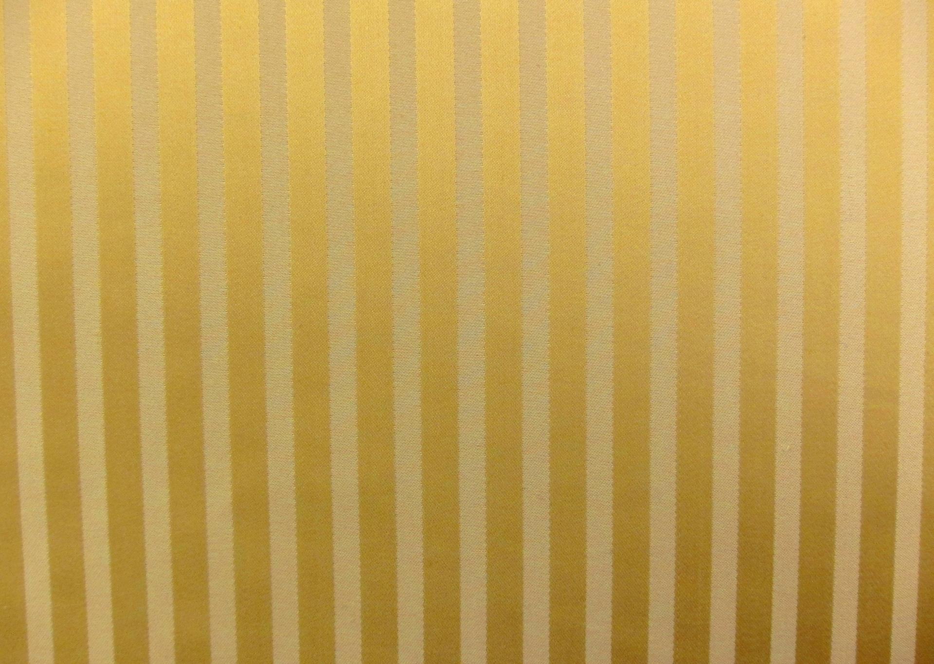 Silk Stripe Brocade0