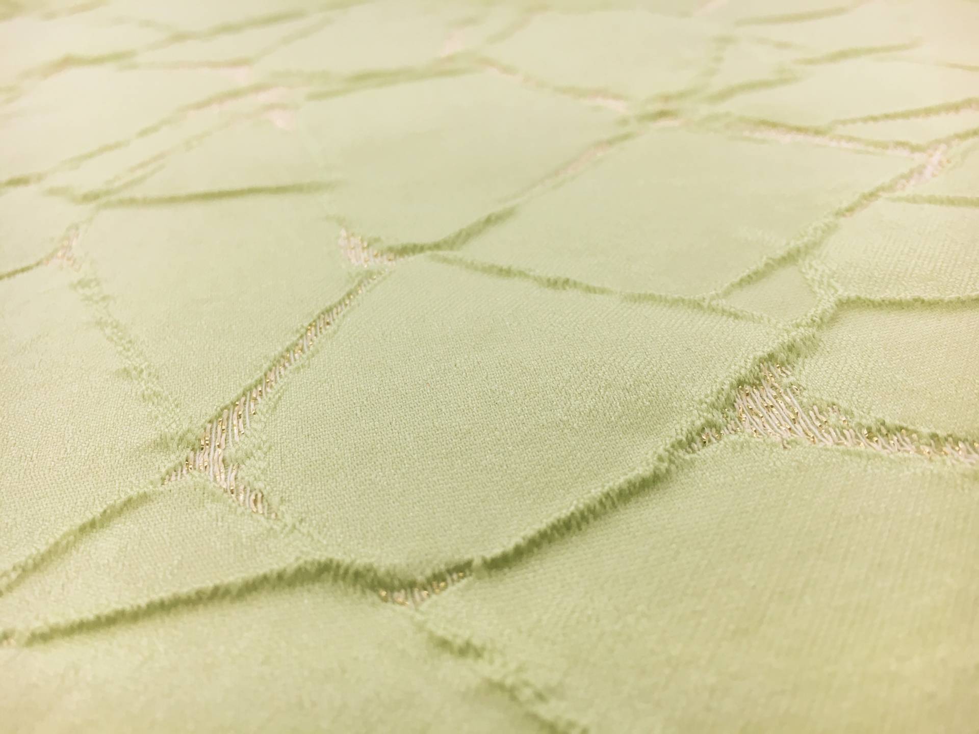 Silk and Polyester Blend Metallic Cloqué Brocade with Cracked Texture2