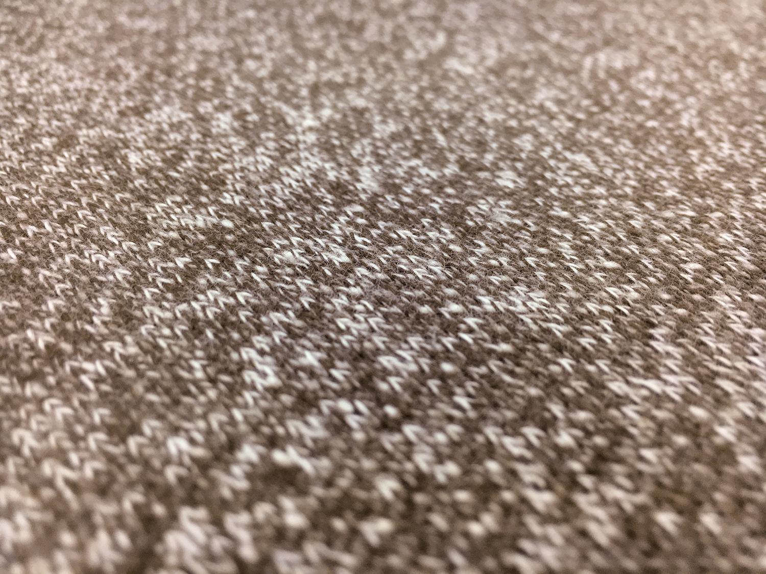 Large Loop Cotton French Terry Knit in Coffee3