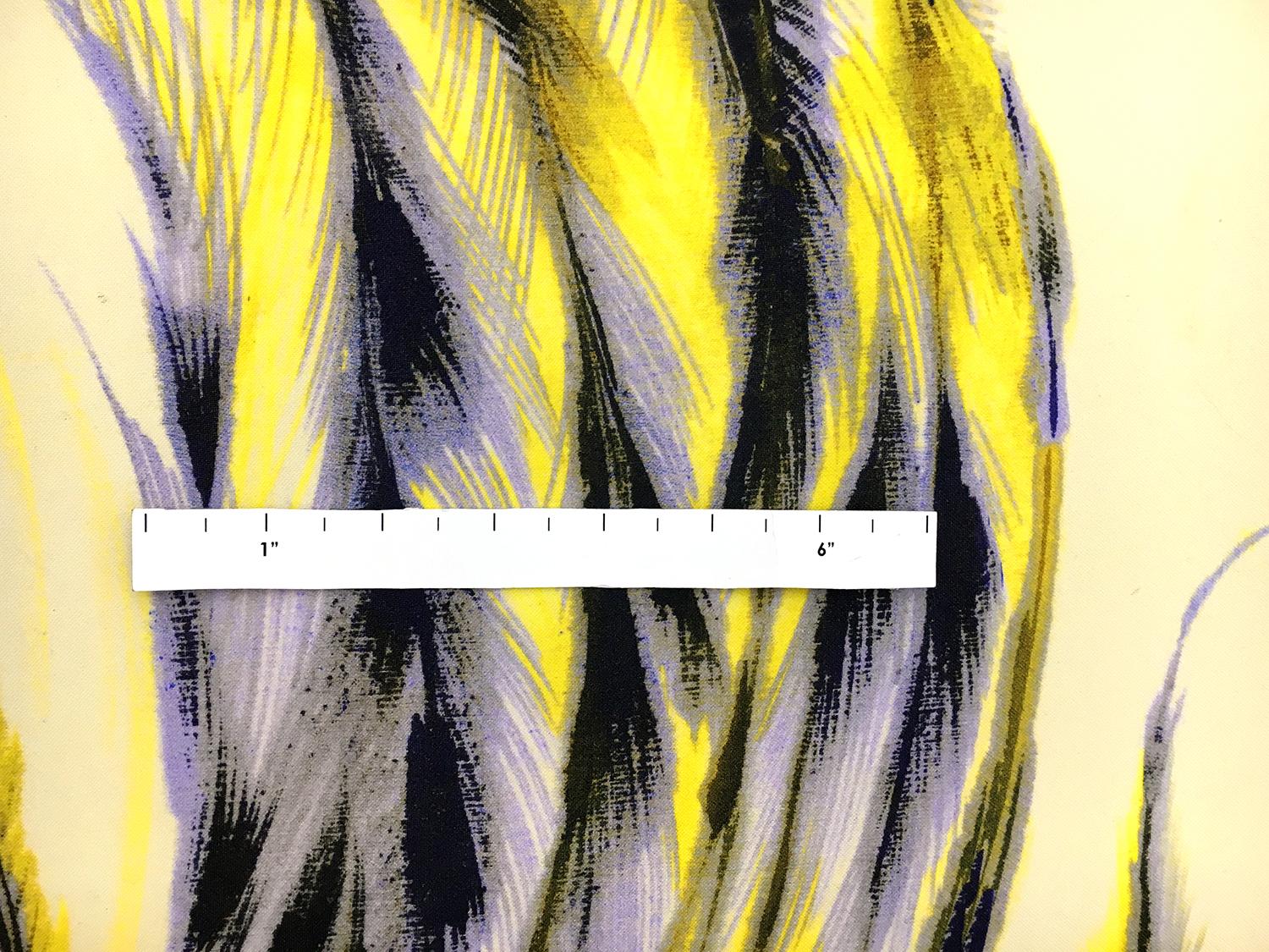 Printed Silk Gazar with Extra Large Feathers1