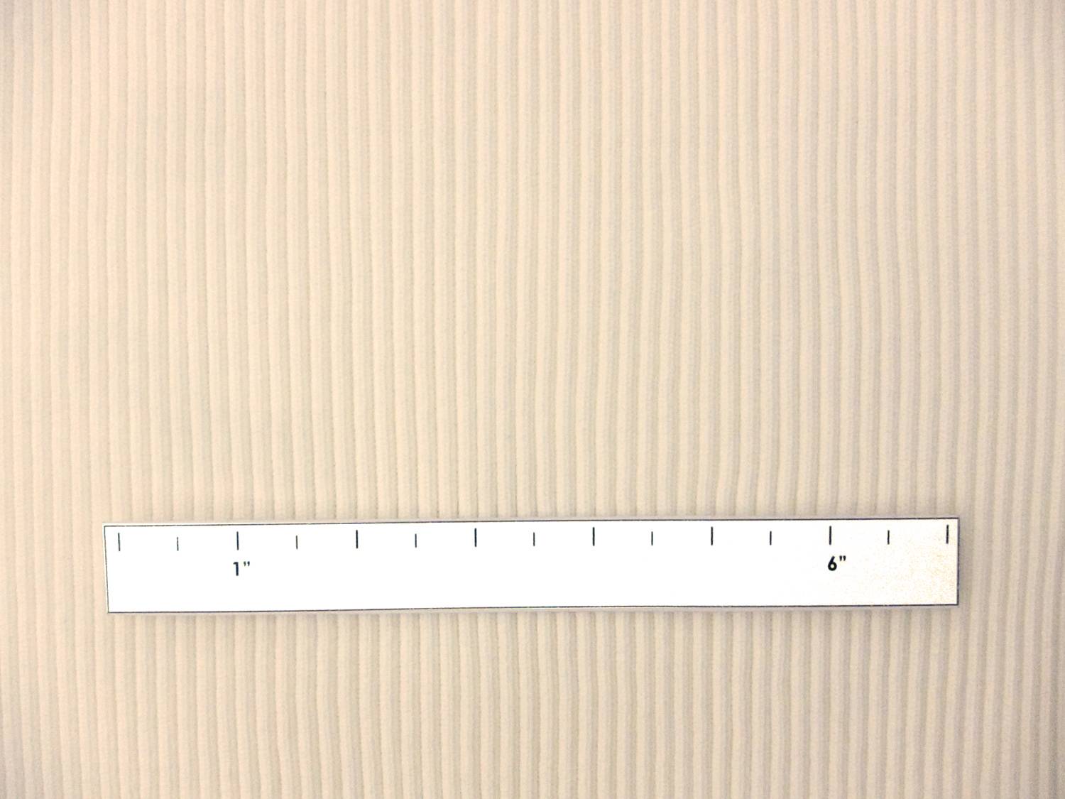 Nylon Rib Knit in Off White2