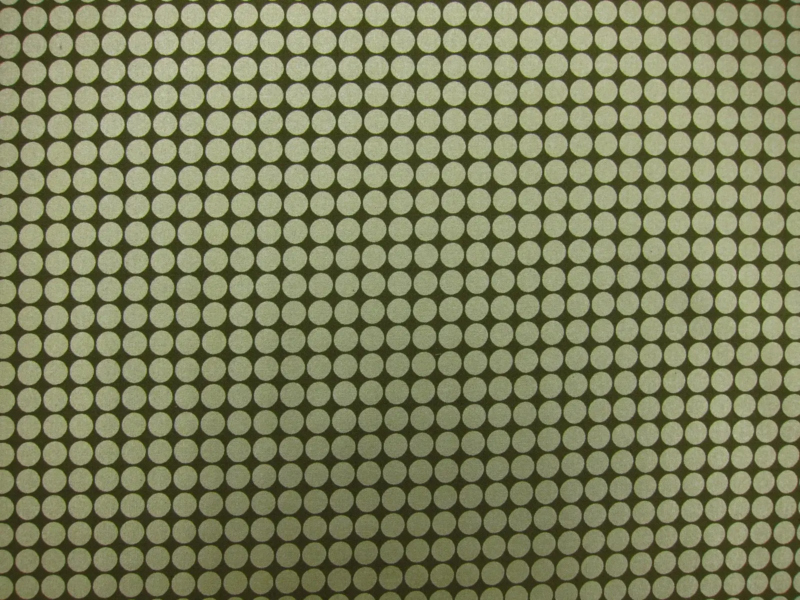 Cotton Broadcloth Print0