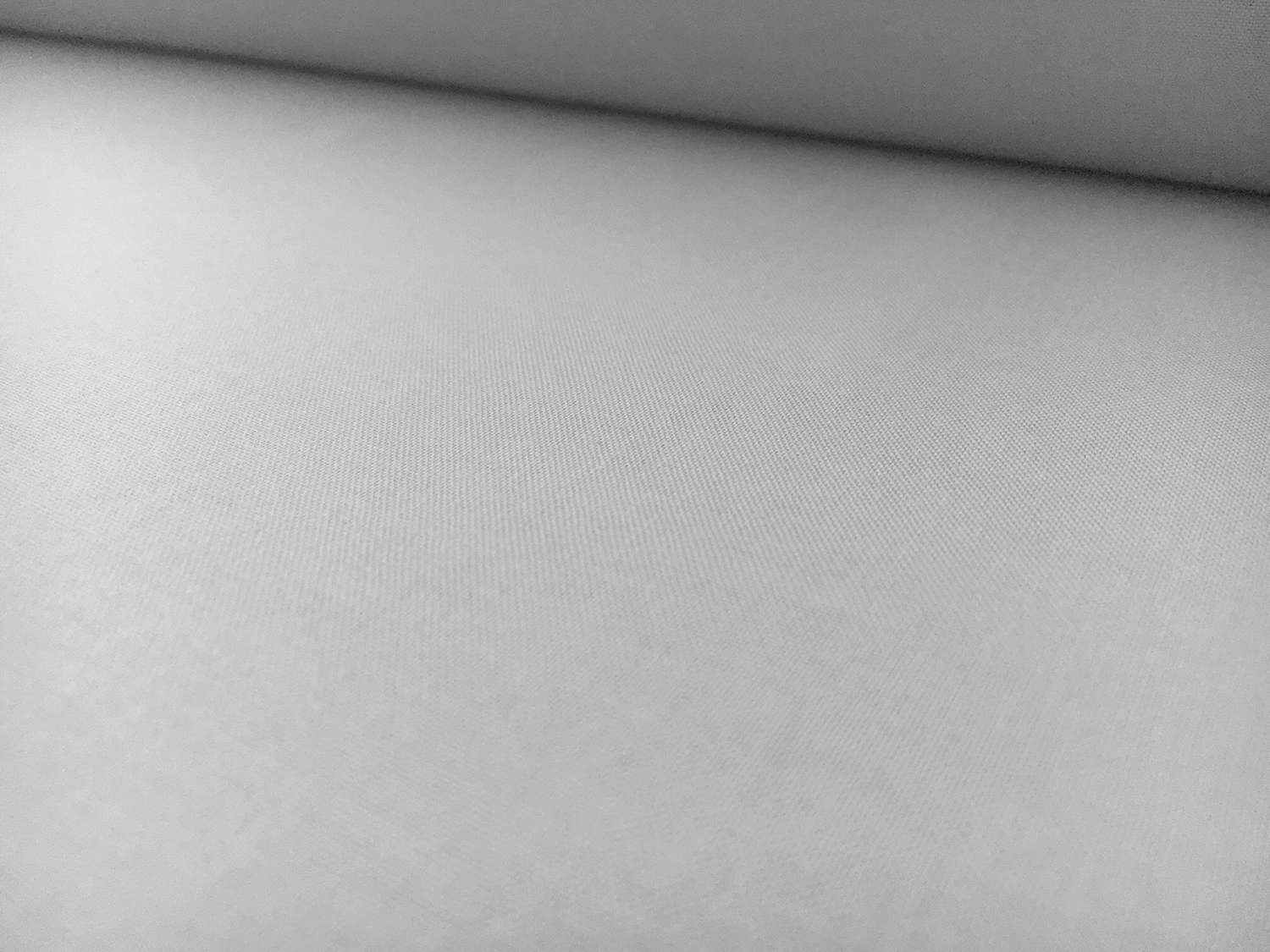 Kona Cotton in Dove0