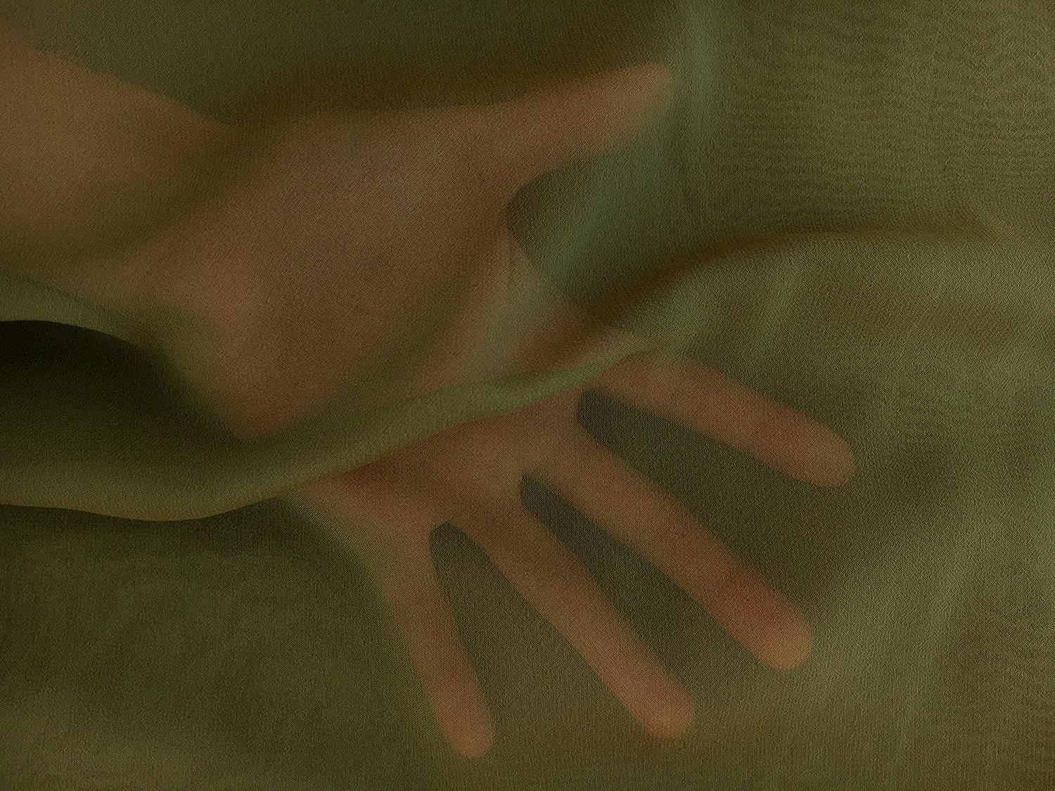 Iridescent Polyester Chiffon in Willow1