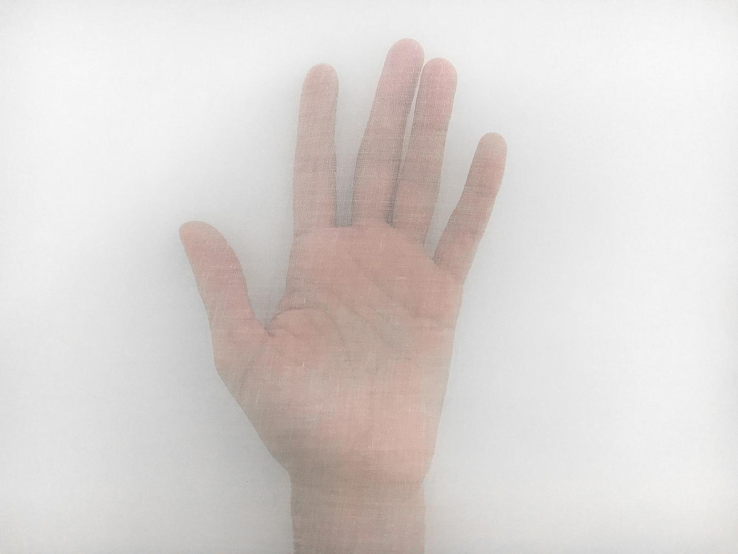 Swiss Cotton Organdy in Ivory2